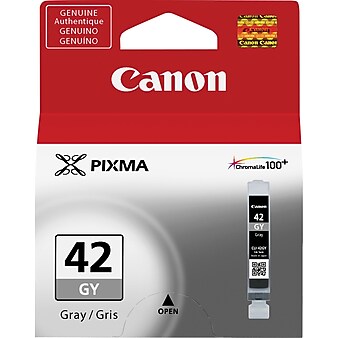 Canon 42 Gray Standard Yield Ink Cartridge (6390B002)