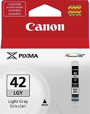 Canon 42 Light Gray Standard Yield Ink Cartridge   (6391B002) Sansujyuku sansujyuku.com