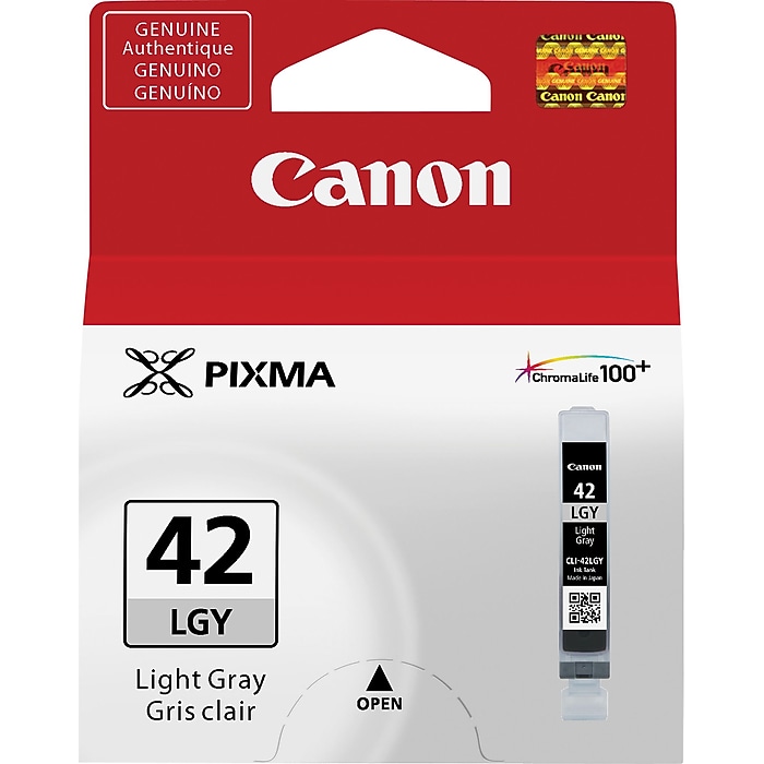 Canon 42 Light Gray Standard Yield Ink Cartridge (6391B002 Canon 42 Light Gray Standard Yield Ink Cartridge (6391B002