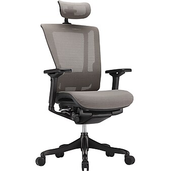 Raynor nefil Elite Smart Motion Mesh Managers Chair with Headrest, 3D Gray