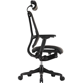 Raynor nefil Elite Smart Motion Mesh Managers Chair with Headrest, 3D Gray