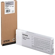 Epson T606 Ultrachrome Light Black High Yield Ink Cartridge