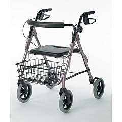 バードカービング　ペン2本付き THE DETAILER 'CUB' Guardian Signature Deluxe Rollators with 8