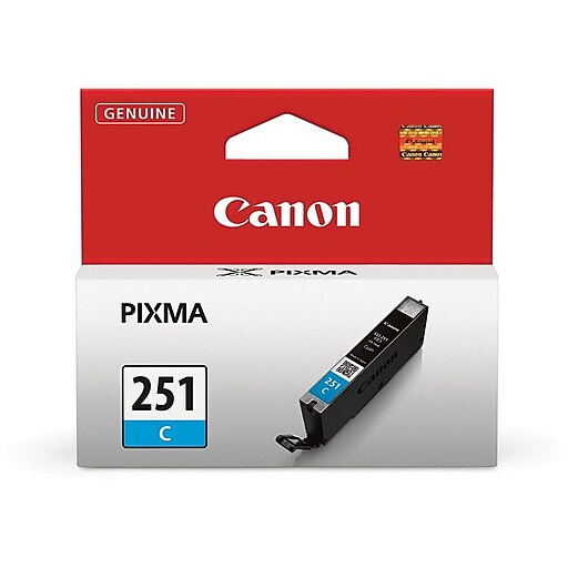 office depot canon ink 251