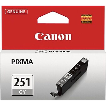 Canon CLI-251 Gray Standard Yield Ink Cartridge (6517B001)