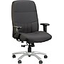 Raynor Eurotech Excelsior Fabric Big and Tall Manager's Chair, Black (BM90000-BLK)~#|#~s0605803_sc7