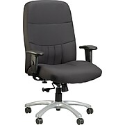 Raynor Eurotech Excelsior Fabric Big and Tall Manager's Chair, Black