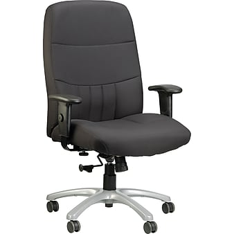 Raynor Eurotech Excelsior Fabric Big and Tall Manager's Chair, Black (BM90000-BLK)