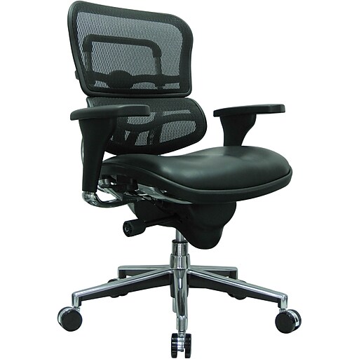 Raynor Eurotech Mesh/Leather Mid Back Ergo human Chair, Black at Staples