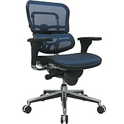 Raynor Eurotech Ergo human Mesh Mid Back Task Chair, Blue