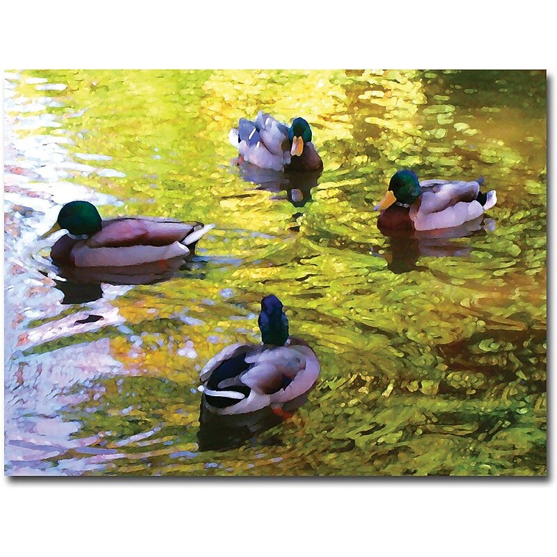 Trademark Global Amy Vangsgard "Four Ducks on Pond" Canvas Art, 18" x 24" image 1