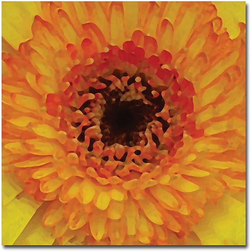 Trademark Global Amy Vangsgard "Orange and Black Gerber Centers" Canvas Art, 18" x 18" image 1