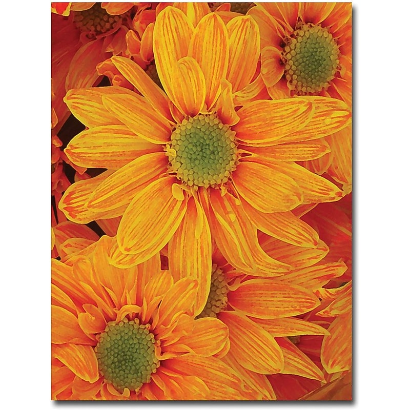 Trademark Global Amy Vangsgard "Orange Daisies" Canvas Art, 18" x 24" image 1