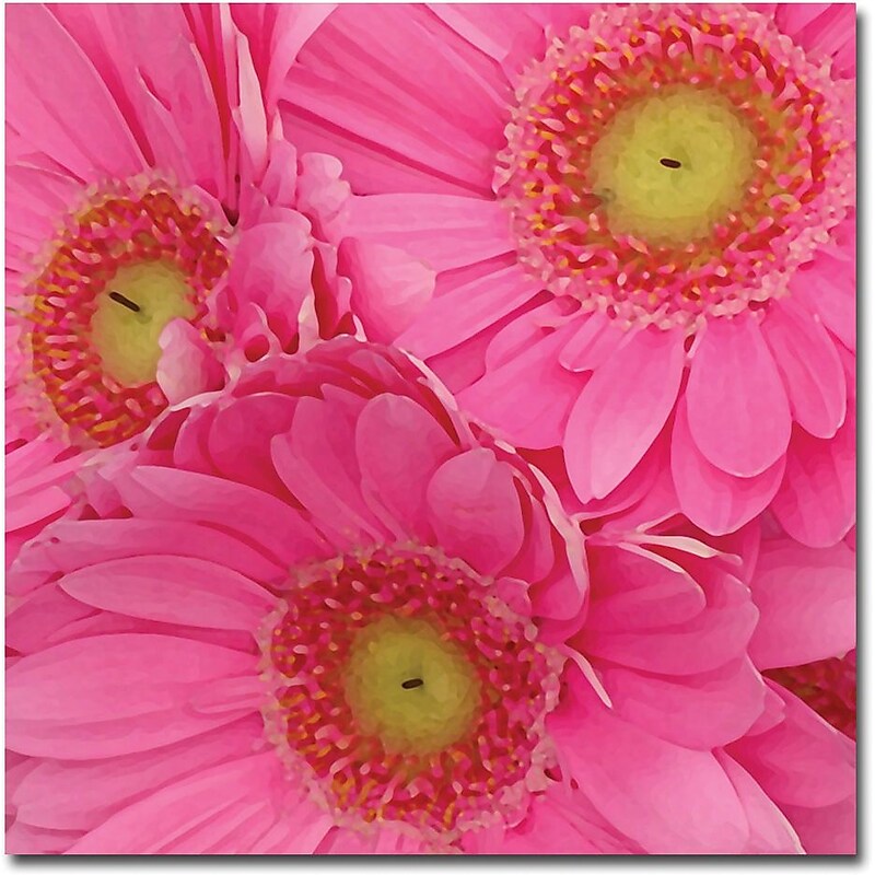 Trademark Global Amy Vangsgard "Pink Gerber Daisies" Canvas Art, 35" x 35" image 1