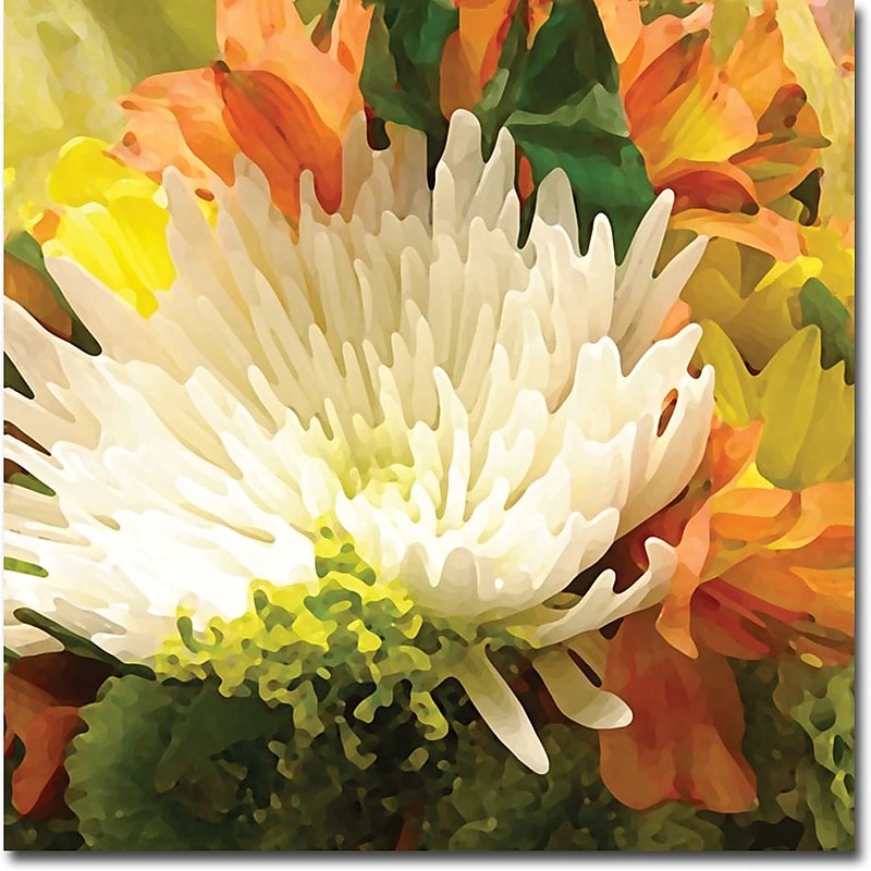 Trademark Global Amy Vangsgard "Spring Flower Burst" Canvas Art, 35" x 35" image 1