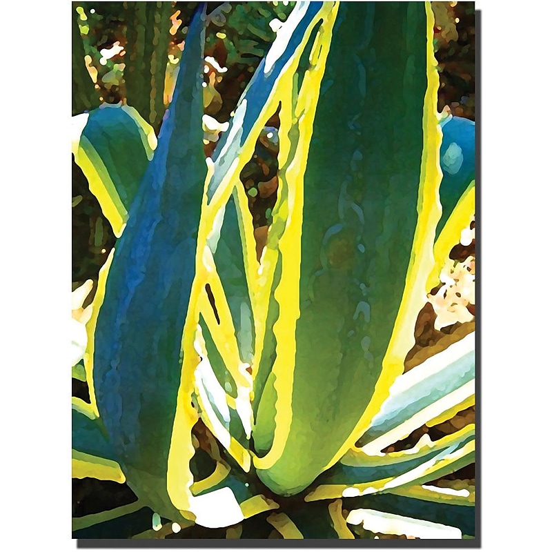 Trademark Global Amy Vangsgard "Agave Americana" Canvas Art, 24" x 32" image 1
