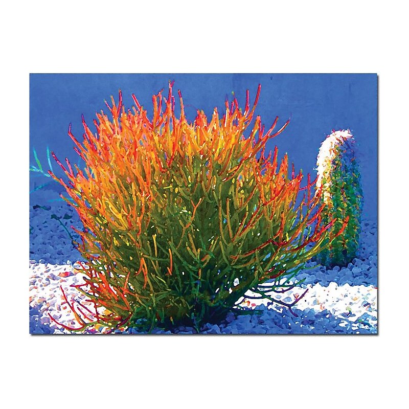 Trademark Global Amy Vangsgard "Firesticks on Blue" Canvas Art, 24" x 32" image 1