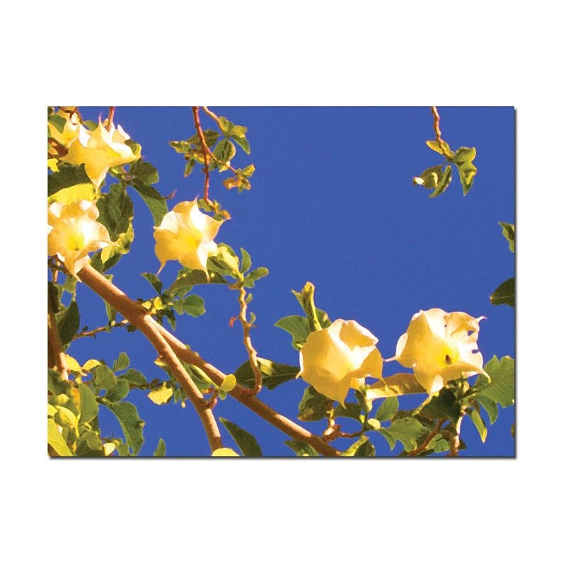 Trademark Global Amy Vangsgard "Flowering Tree" Canvas Art, 24" x 32" image 1
