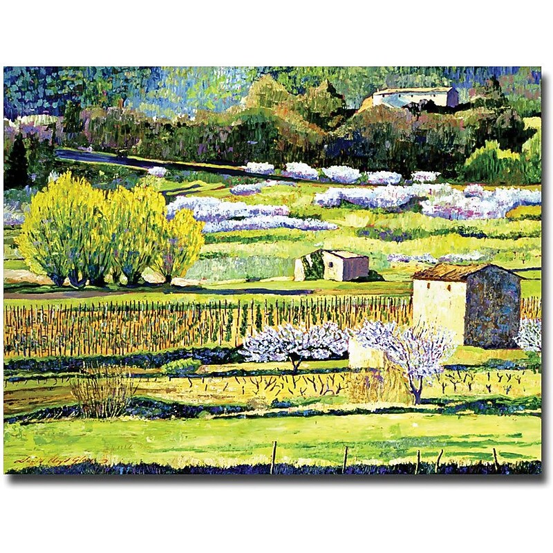 Trademark Global David Lloyd Glover "Bordeaux Vineyards in Spring" Canvas Art, 26" x 32" image 1