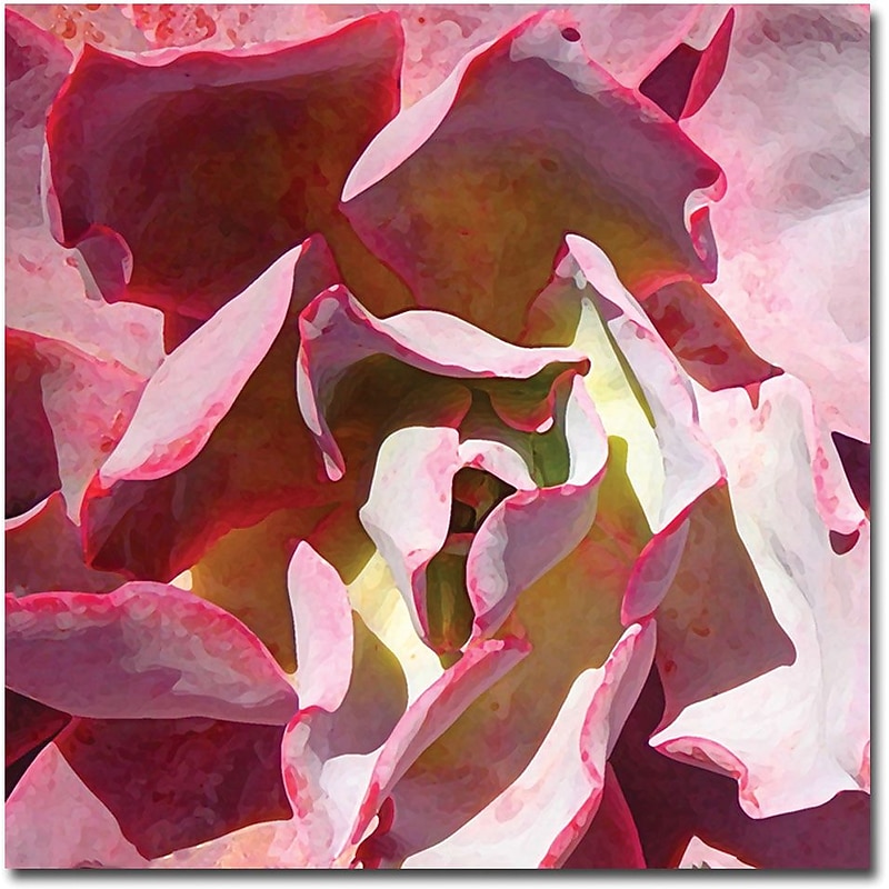 Trademark Global Amy Vangsgard "Succulent Square II" Canvas Art, 35" x 35" image 1