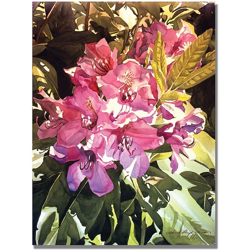 Trademark Global David Lloyd Glover "Royal Rhododendrons" Canvas Art, 26" x 32" image 1