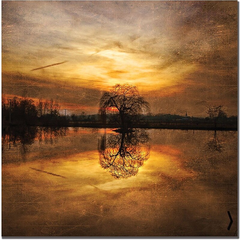 Trademark Global Philippe Sainte Laudy "Ball Gold" Canvas Art, 14" x 14" image 1