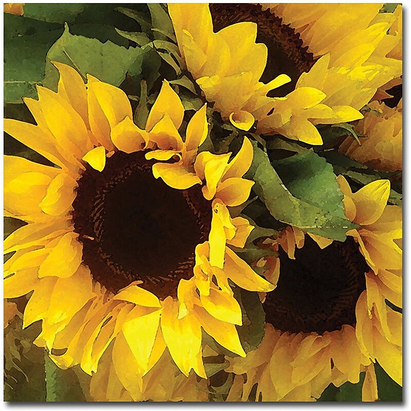 Trademark Global Amy Vangsgard "Sunflowers" Canvas Art, 18" x 18" image 1
