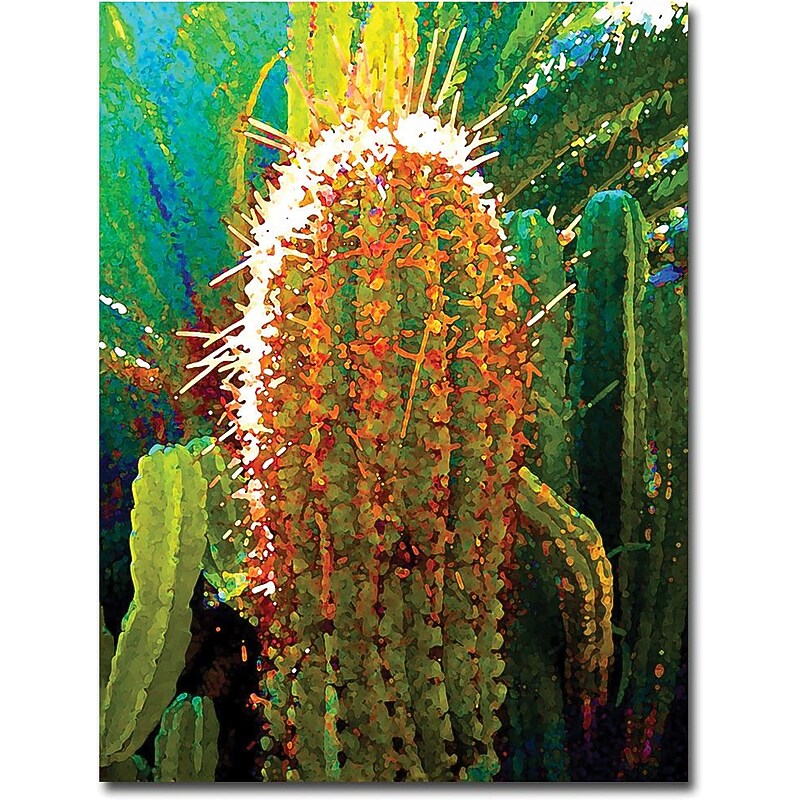 Trademark Global Amy Vangsgard "Tall Cactus" Canvas Art, 18" x 24" image 1