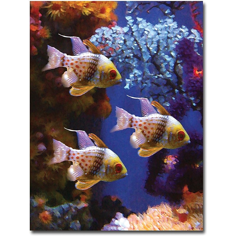 Trademark Global Amy Vangsgard "Three Pajama Fish" Canvas Art, 35" x 47" image 1