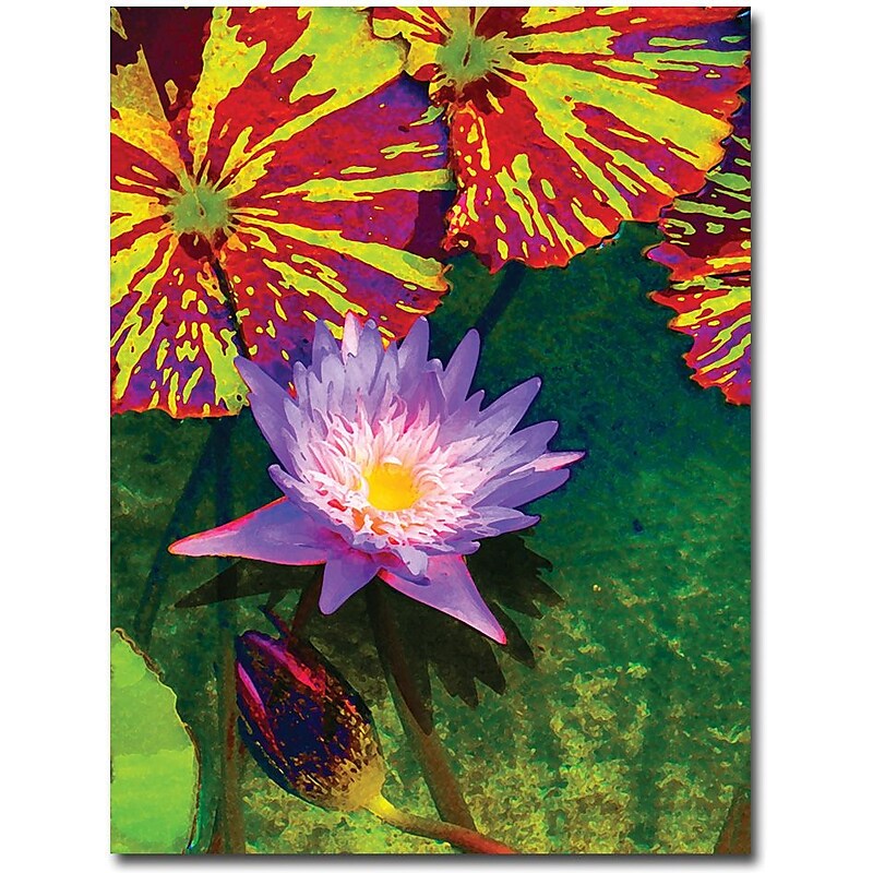 Trademark Global Amy Vangsgard "Waterlily" Canvas Art, 18" x 24" image 1