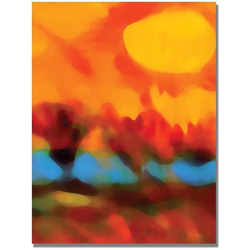 Trademark Global Amy Vangsgard "Sunset in the Fields" Canvas Art, 24" x 32" image 1