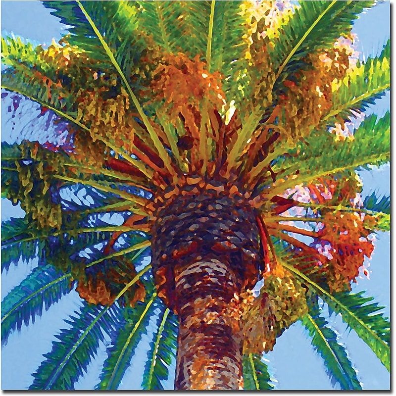Trademark Global Amy Vangsgard "Palm Tree Looking Up" Canvas Art, 24" x 24" image 1