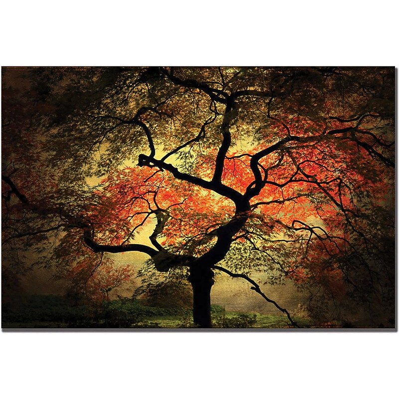 Trademark Global Philippe Sainte Laudy "Japanese" Canvas Art, 14" x 19" image 1