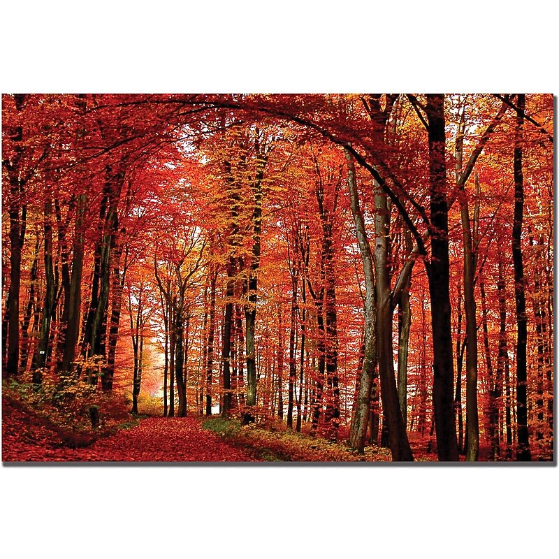 Trademark Global Philippe Sainte Laudy "The Red Way" Canvas Art, 14" x 19" image 1