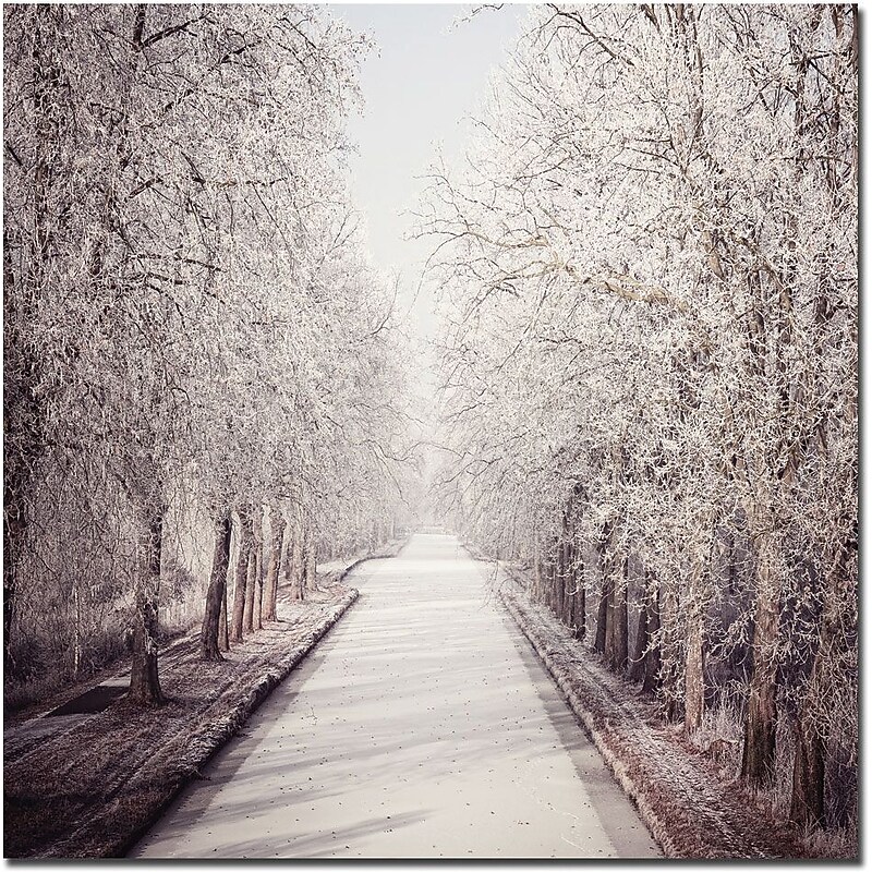 Trademark Global Philippe Sainte Laudy "Milky Way" Canvas Art, 35" x 35" image 1