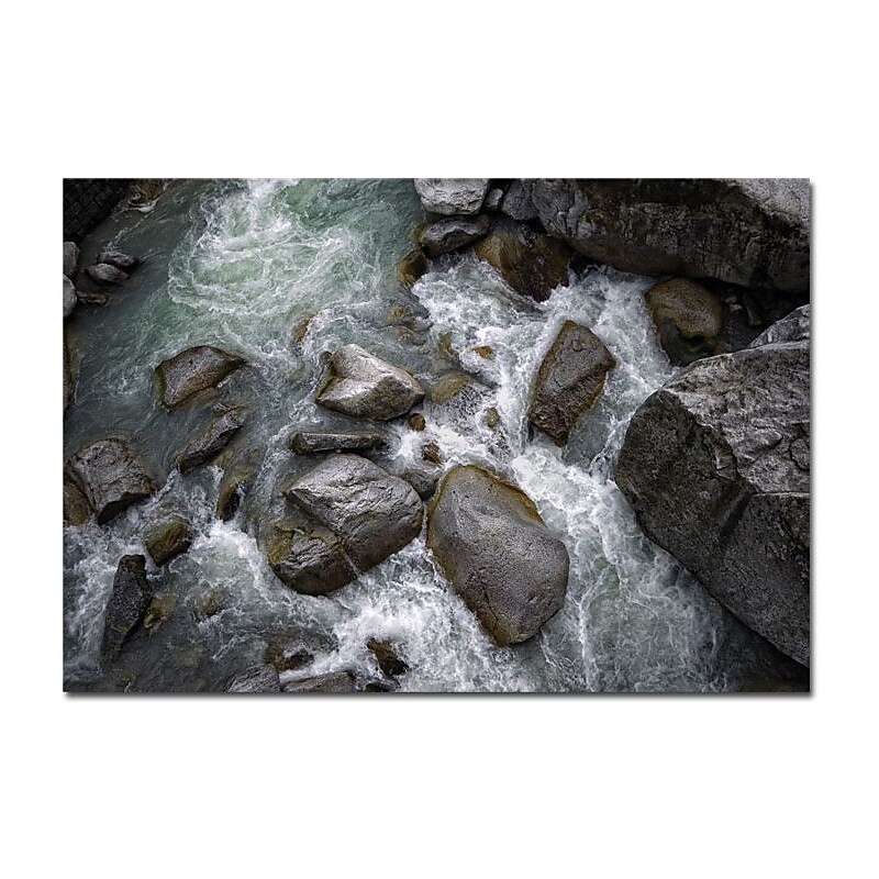 Trademark Global Philippe Sainte Laudy "Visage" Canvas Art, 16" x 24" image 1