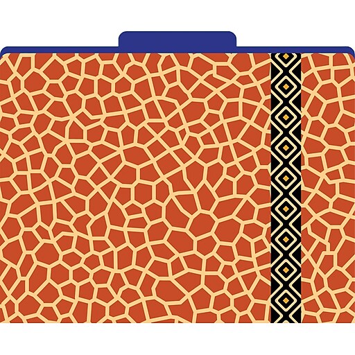 Barker Creek Giraffe Decorative File Folders, Letter, 3