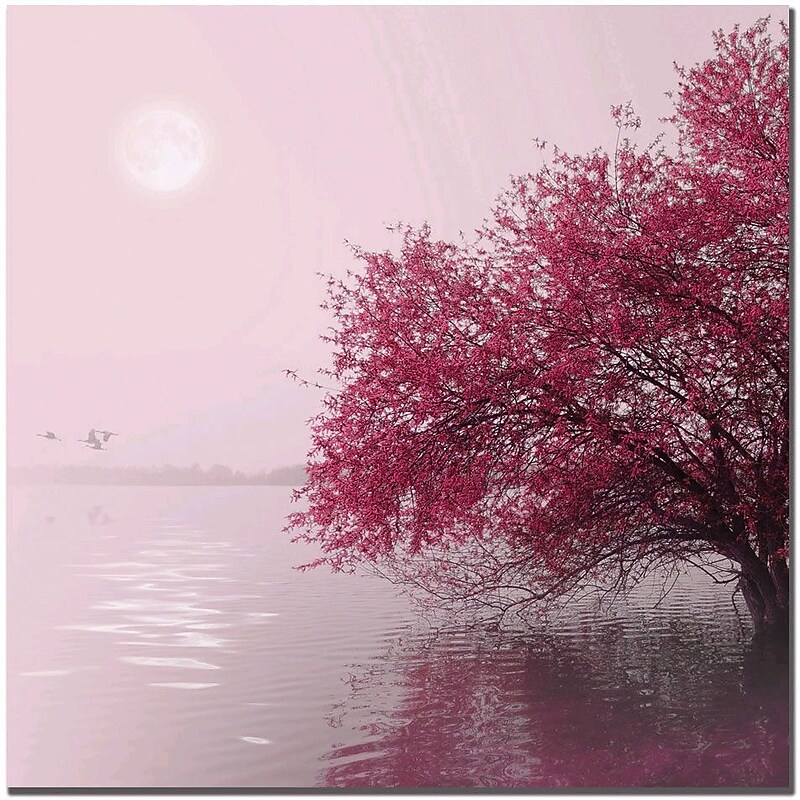 Trademark Global Philippe Sainte Laudy "Full Moon on the Lake" Canvas Art, 14" x 14" image 1
