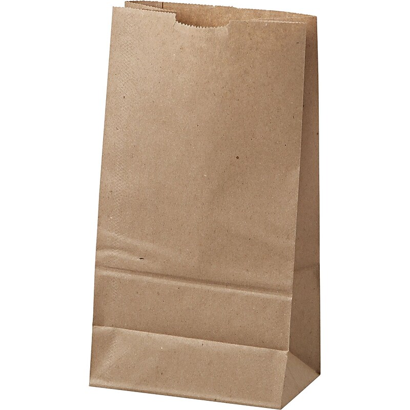 Duro Standard Natural Brown Paper Bags #6, 11 1/16"H x 6"W x 3 5/8"D, 500/Bundle (BAGGK6500) image 1