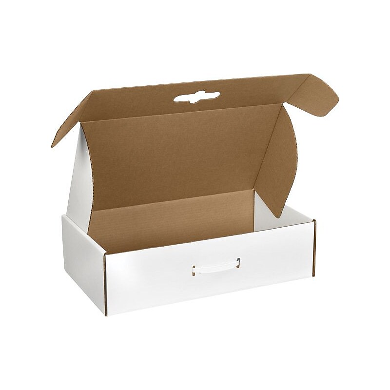 18-1/4" x 11-3/8" x 4-1/2" Carrying Case Mailer with Plastic Handle image 1