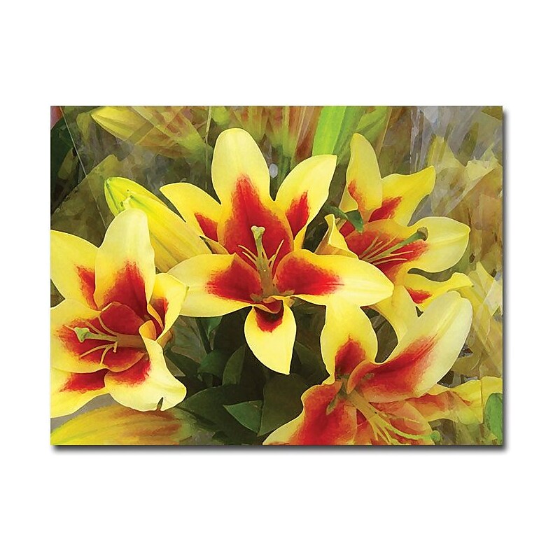 Trademark Global Amy Vangsgard "Lillies" Canvas Art, 18" x 24" image 1