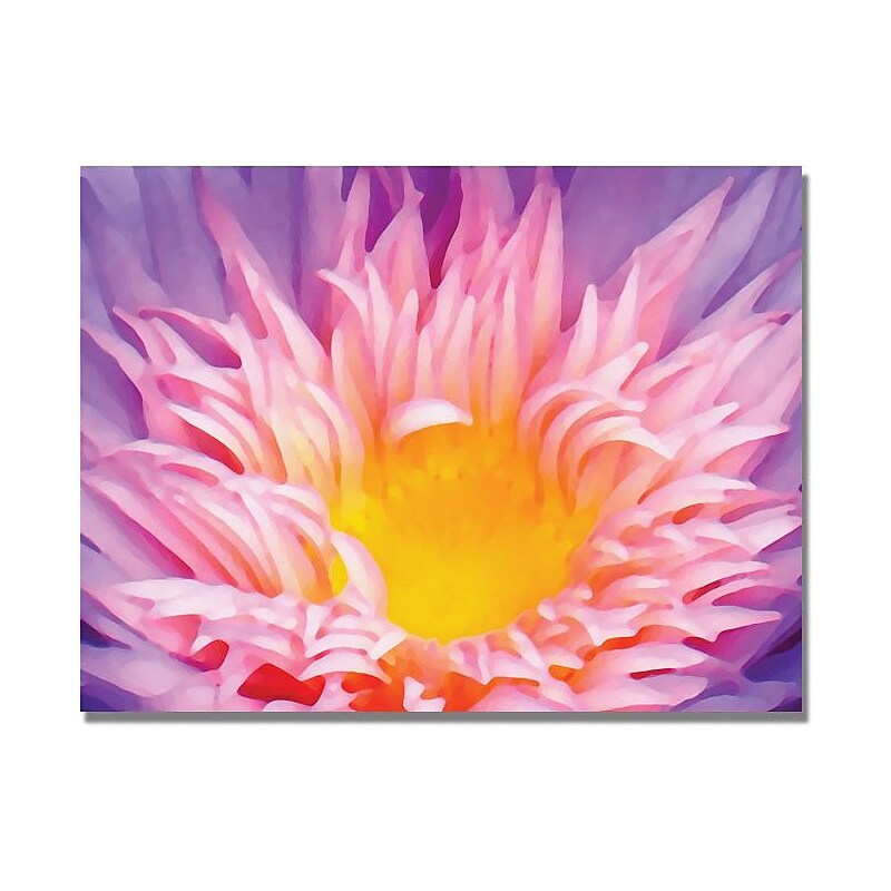 Trademark Global Amy Vangsgard "Lily Up Close" Canvas Art, 24" x 32" image 1