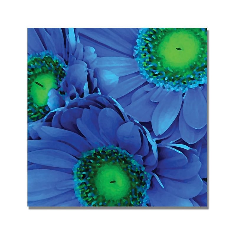 Trademark Global Amy Vangsgard "Blue Gerber Daisies" Canvas Art, 18" x 18" image 1