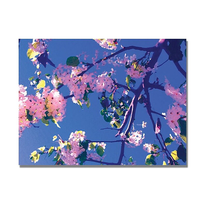 Trademark Global Amy Vangsgard "Pink Flowering" Canvas Art, 35" x 47" image 1