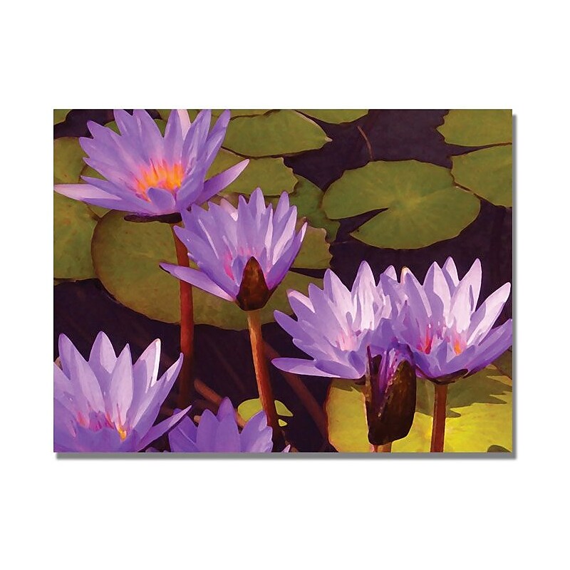 Trademark Global Amy Vangsgard "Water Lilies" Canvas Art, 18" x 24" image 1