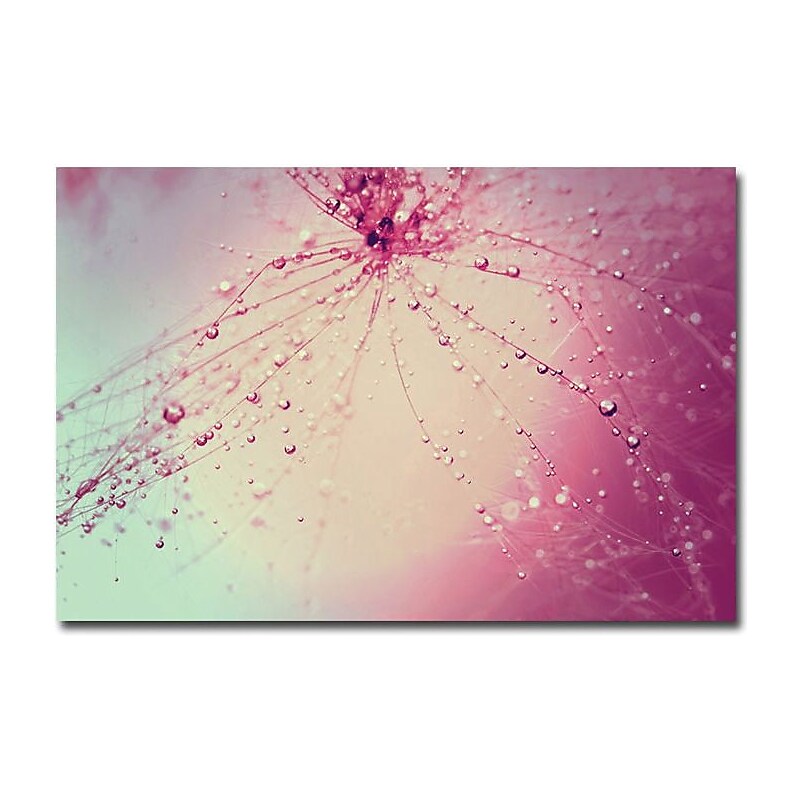 Trademark Global Beata Czyzowska Young "Celebration" Canvas Art, 30" x 47" image 1