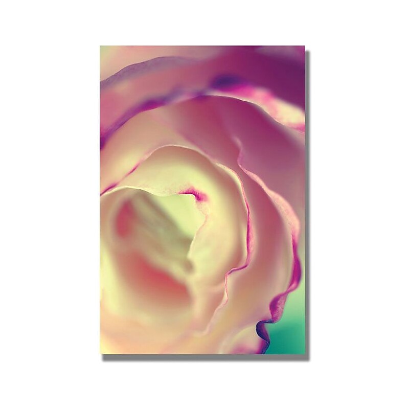 Trademark Global Beata Czyzowska Young "Flavors of Summer" Canvas Art, 24" x 16" image 1