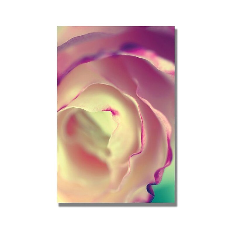 Trademark Global Beata Czyzowska Young "Flavors of Summer" Canvas Art, 47" x 30" image 1