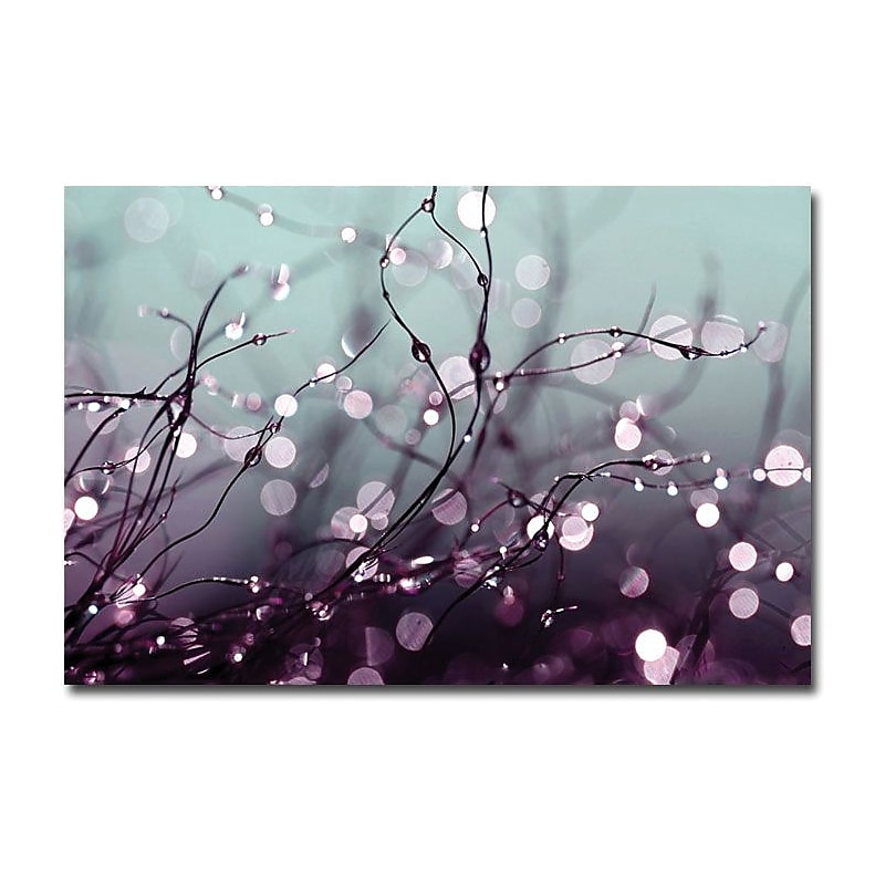 Trademark Global Beata Czyzowska Young "Somewhere Over the Rainbow" Canvas Art, 16" x 24" image 1