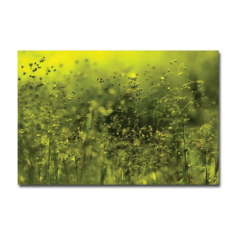 Trademark Global Beata Czyzowska Young "Symphony in Green" Canvas Art, 16" x 24" image 1